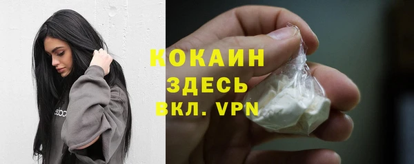 хмурый Арсеньев